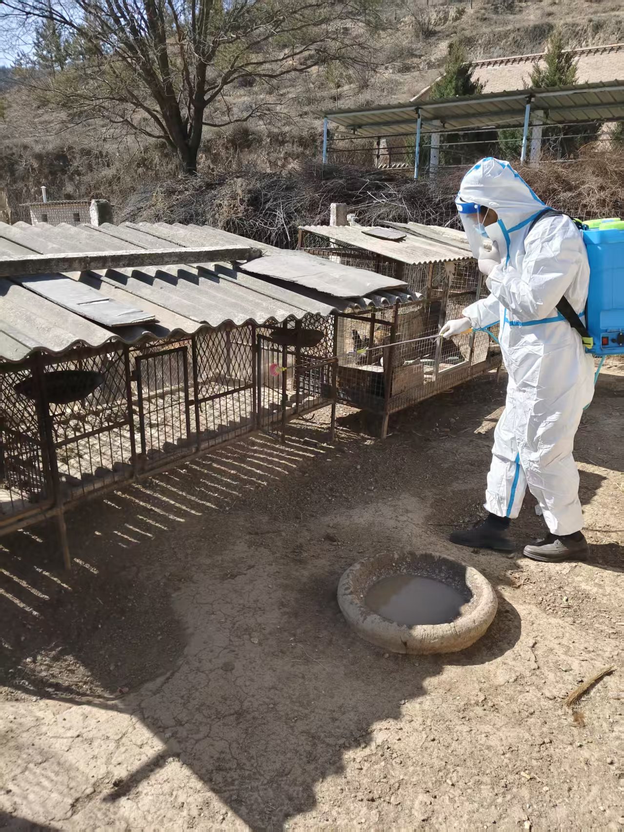 4eaee008add54a56896e2a0e0973814c.jpg 4eaee008add54a56896e2a0e0973814c.jpg