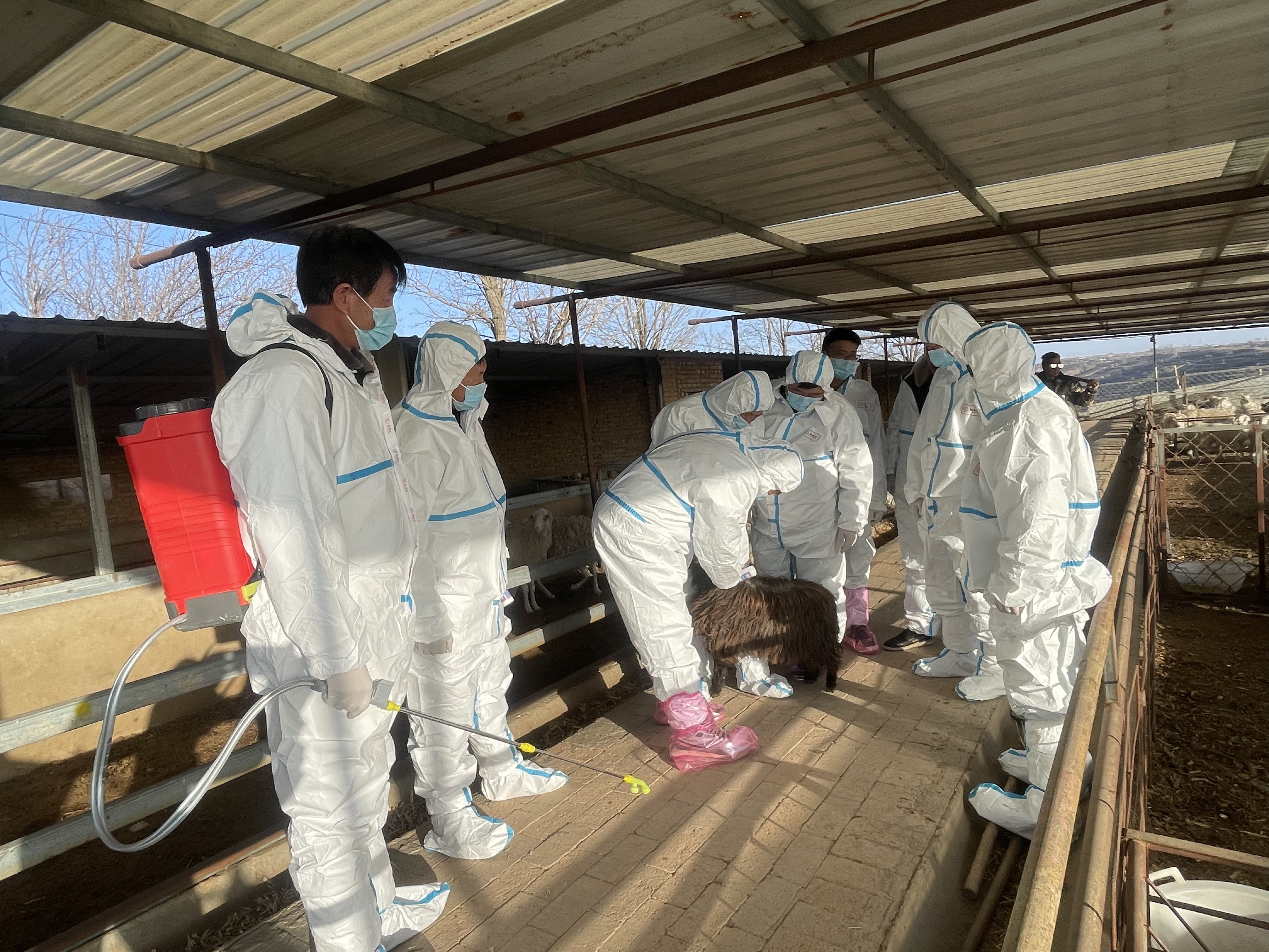 f986d091af4d486b9eb968525035bcd0.jpg f986d091af4d486b9eb968525035bcd0.jpg