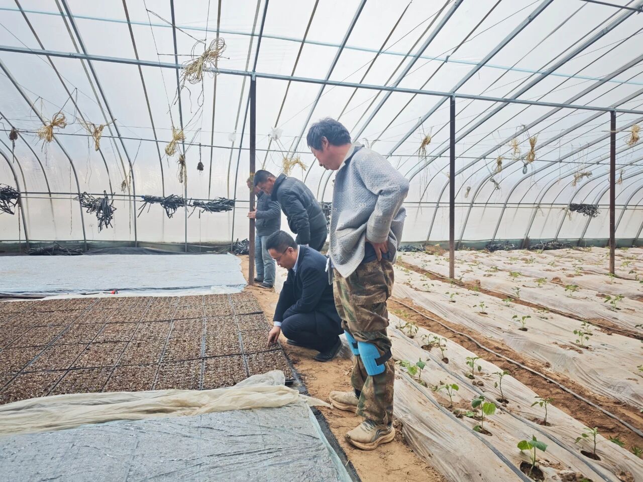 4911443d40454c3390c3d2588692c6fa.jpg 4911443d40454c3390c3d2588692c6fa.jpg