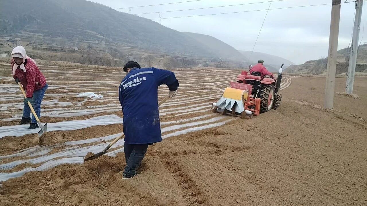 9497d7f052354595878193ba2a91ac48.jpg 9497d7f052354595878193ba2a91ac48.jpg