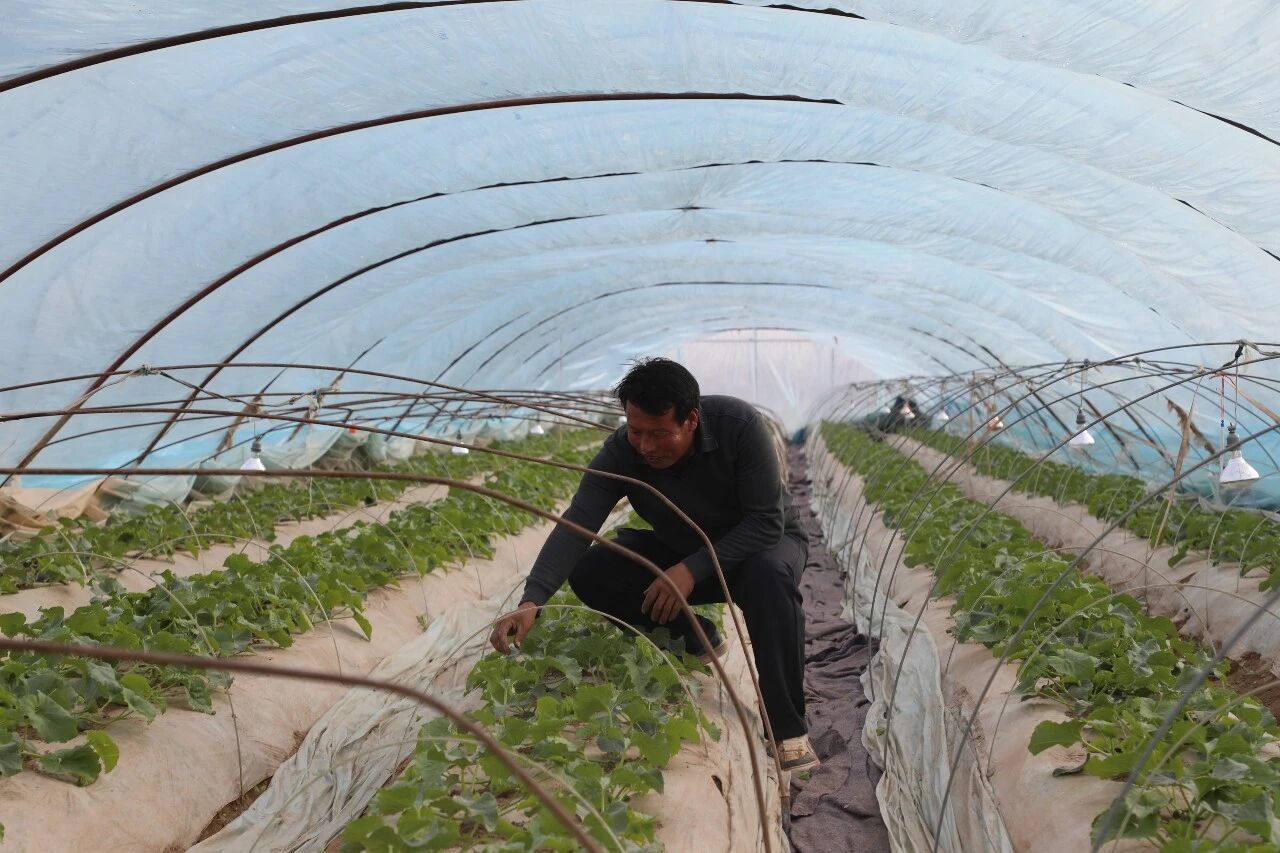 df3a32ffd5704f588928d79753bb6270.jpg df3a32ffd5704f588928d79753bb6270.jpg