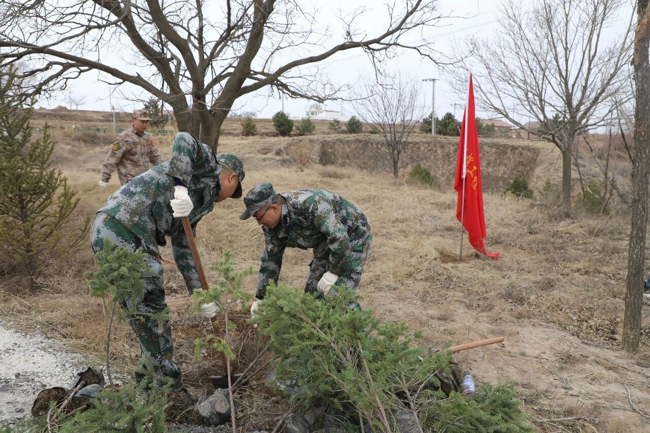 dd7b1c9e107c49a4bd6382653ded38af.jpg dd7b1c9e107c49a4bd6382653ded38af.jpg