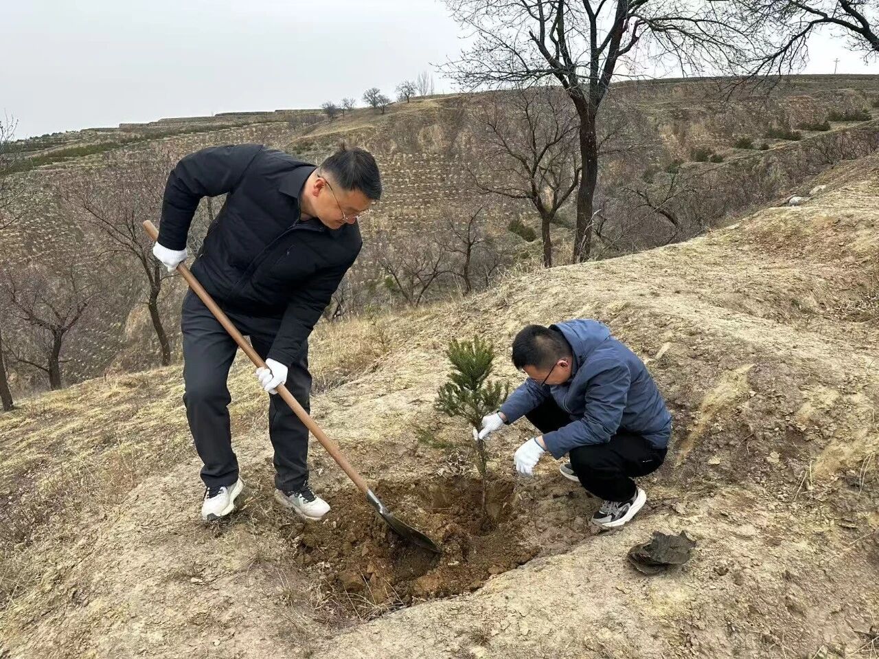 e511e3953cff4223aa2770b324007604.jpg e511e3953cff4223aa2770b324007604.jpg