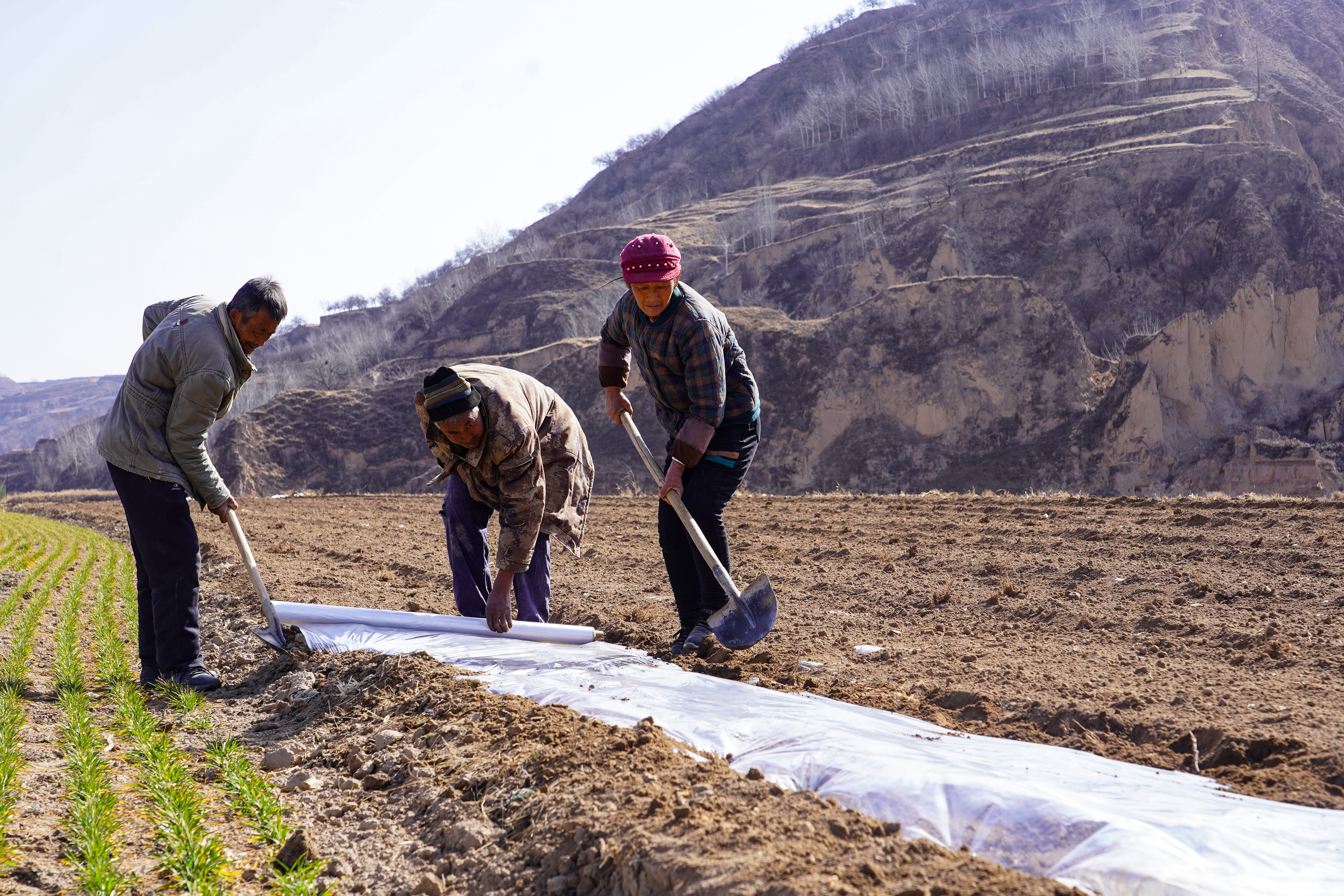 微信图片_20260312164823_1253_11