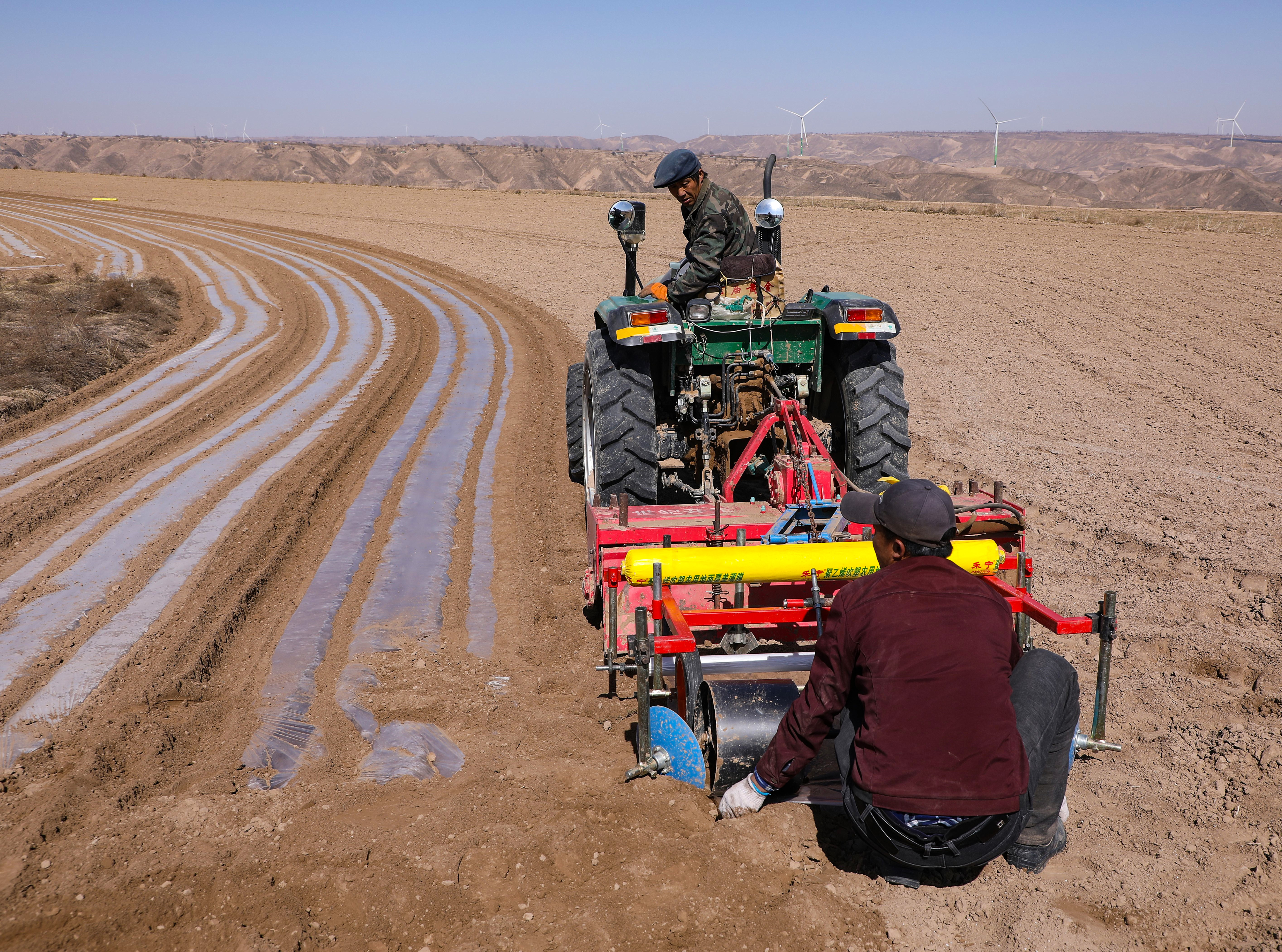 罗山川乡光明村村民高明义组织机械覆膜3