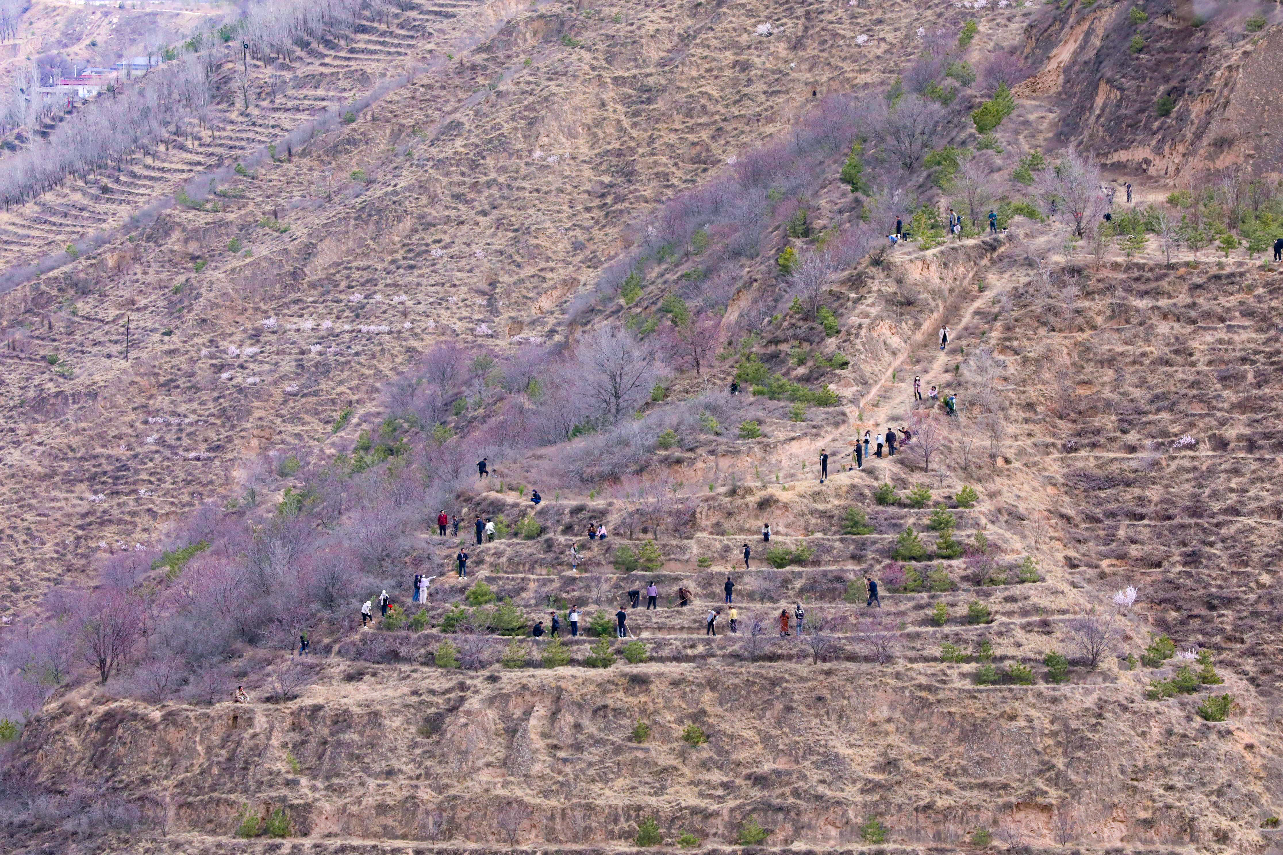 1774514602165048266.jpg 1774514602165048266.jpg