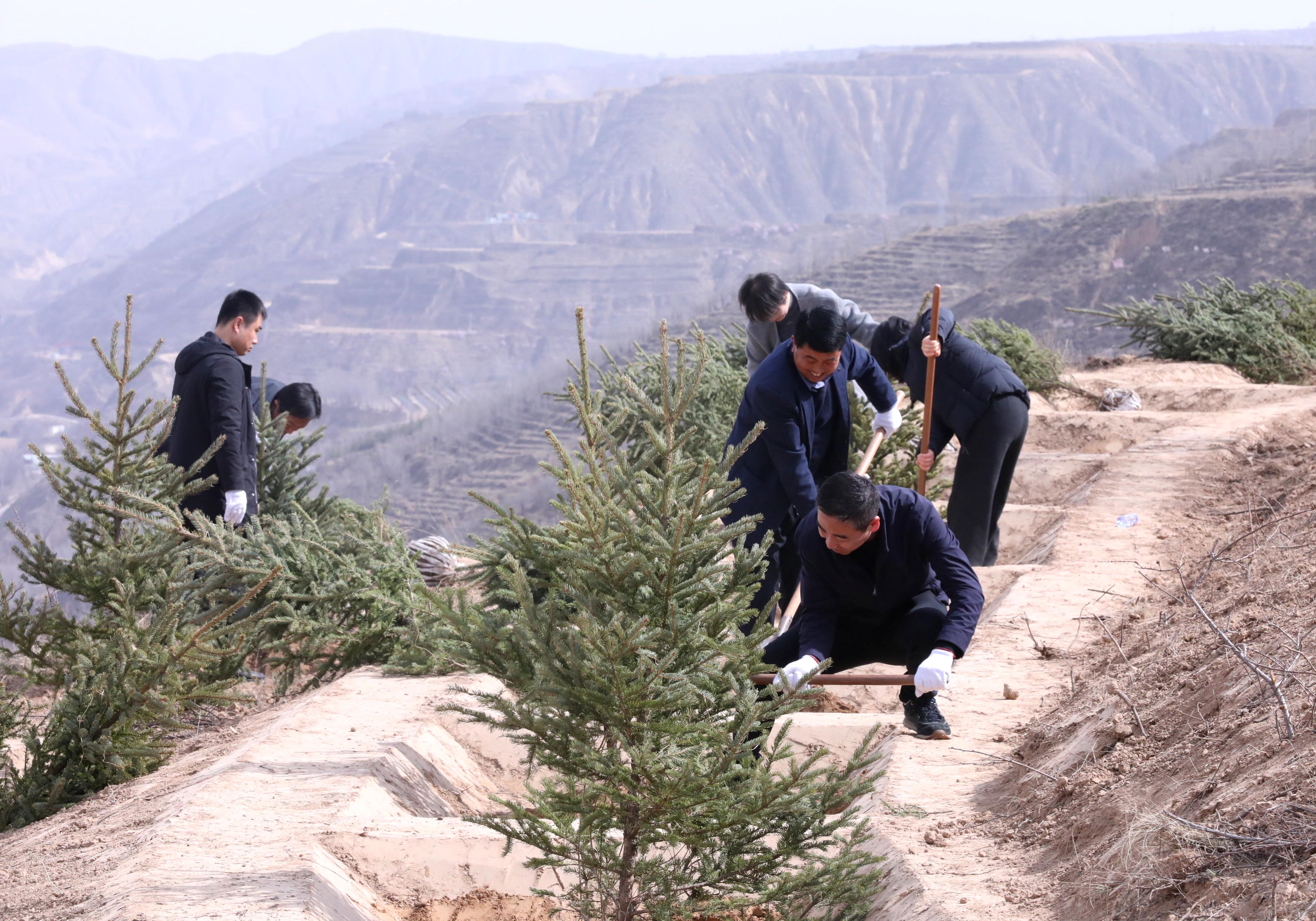 1K9A1453(1) 1K9A1453(1)