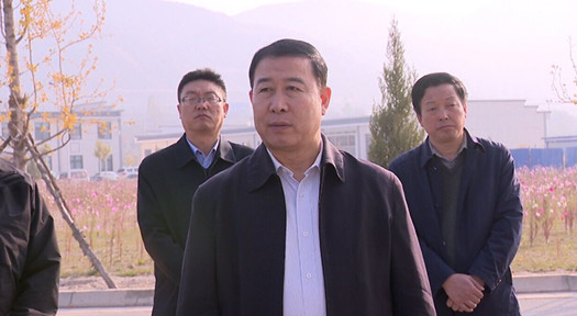 省食药监局局长李存文一行深入环县调研食品药品监管工作