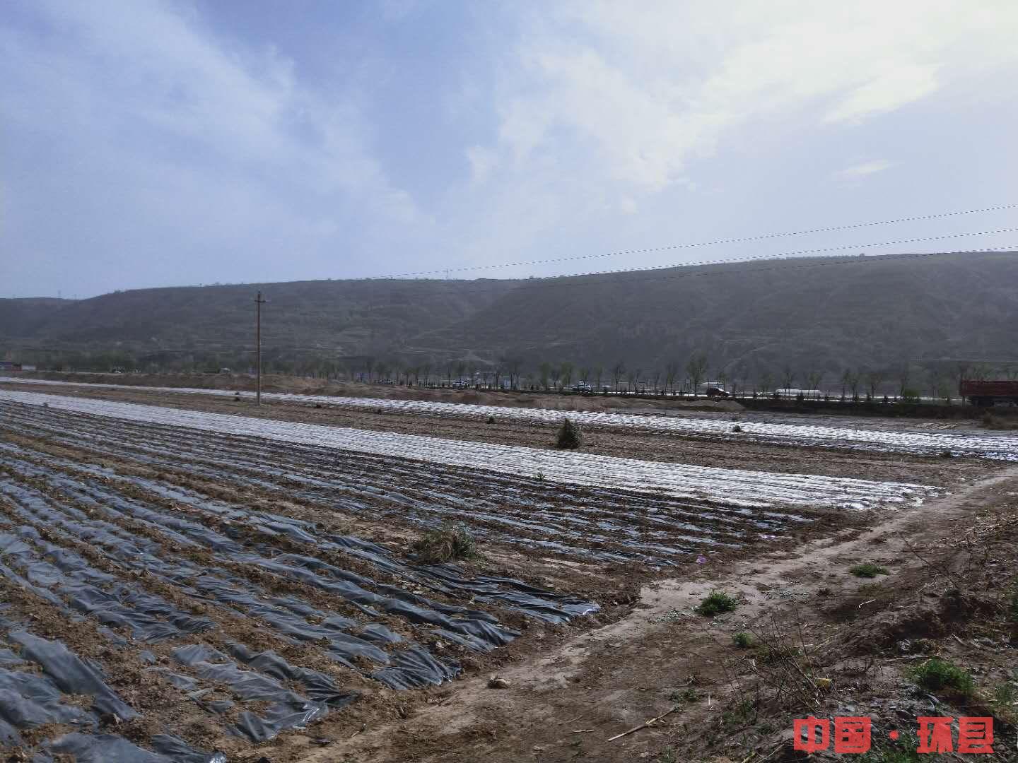 141e91a7dbae45bd9efa8c9abed5a5a1.jpg 141e91a7dbae45bd9efa8c9abed5a5a1.jpg