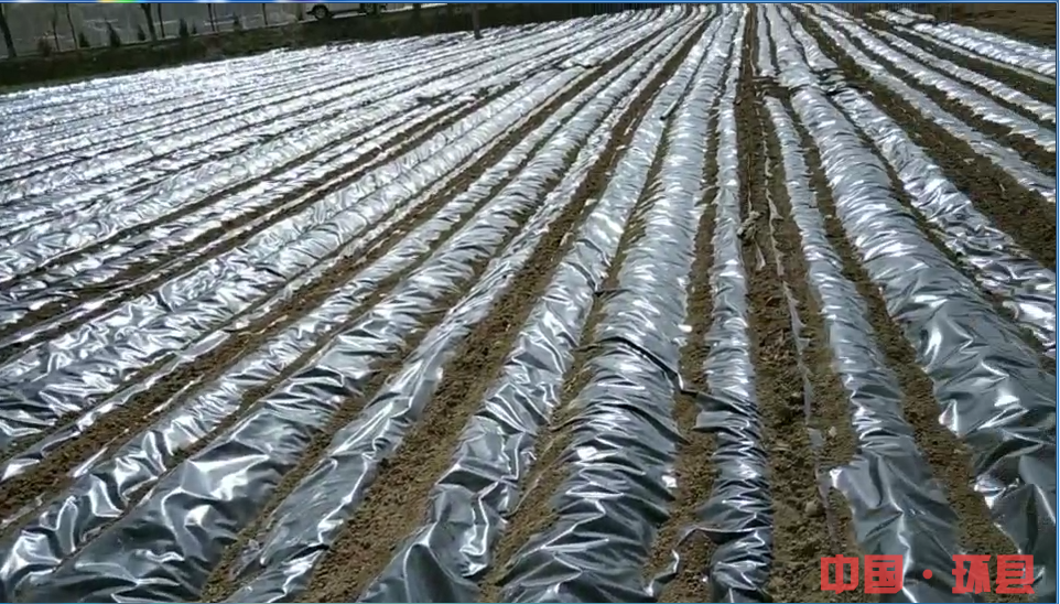 2e1c24aa2e4740479abf550969ad1b15.png 2e1c24aa2e4740479abf550969ad1b15.png