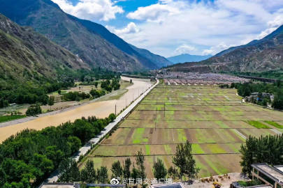 981eb8870b974e4c9579e2f556b44d7f.jpg 981eb8870b974e4c9579e2f556b44d7f.jpg