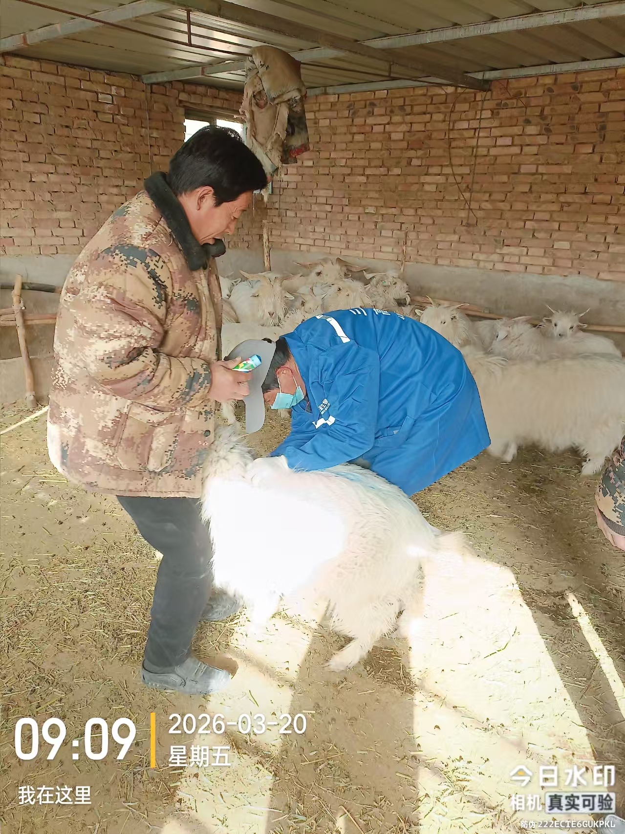 03a43d038c5749b69296db8b142fbfac.jpg 03a43d038c5749b69296db8b142fbfac.jpg