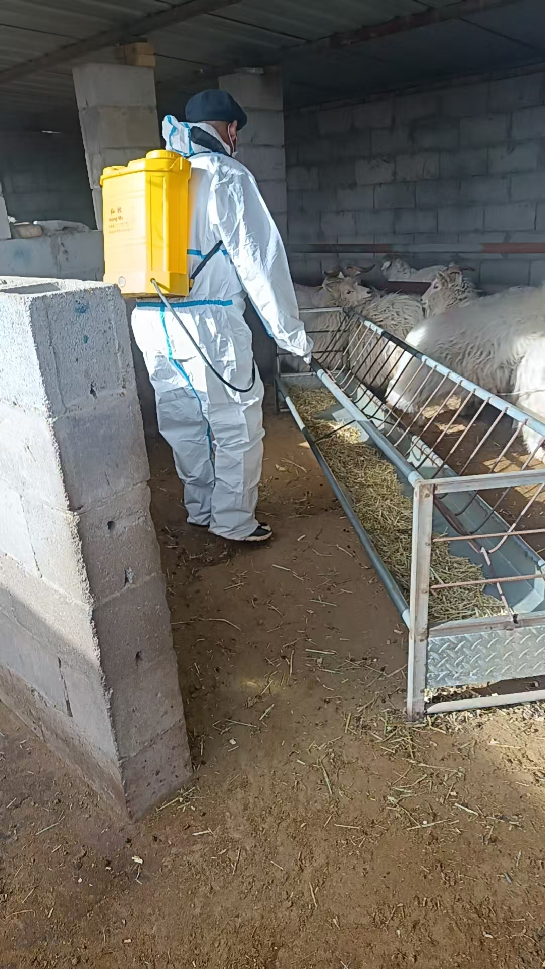 18624fc3e3bc4dcab4b3c343bdb64869.jpg 18624fc3e3bc4dcab4b3c343bdb64869.jpg