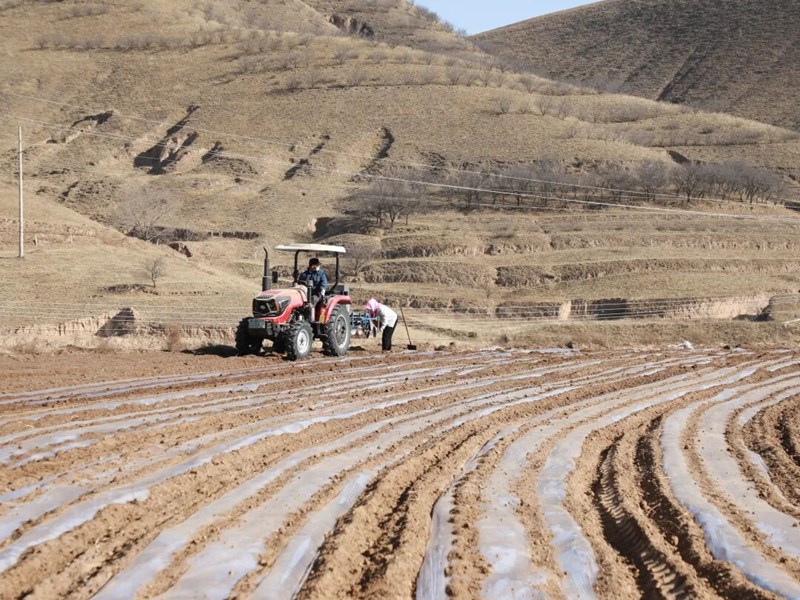 环县车道镇：多元施策绘春耕 多措并举促增收