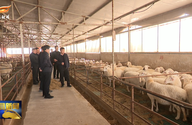 曹育铮在木钵镇调研重点工作落实情况