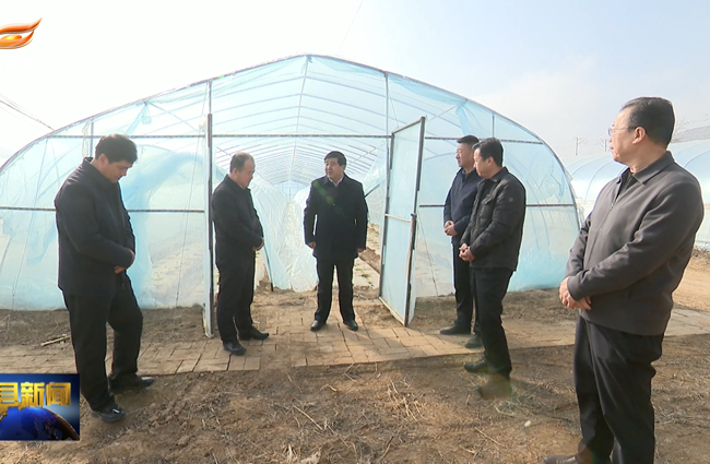 曹育铮在曲子木钵调研乡镇重点工作启动推进情况