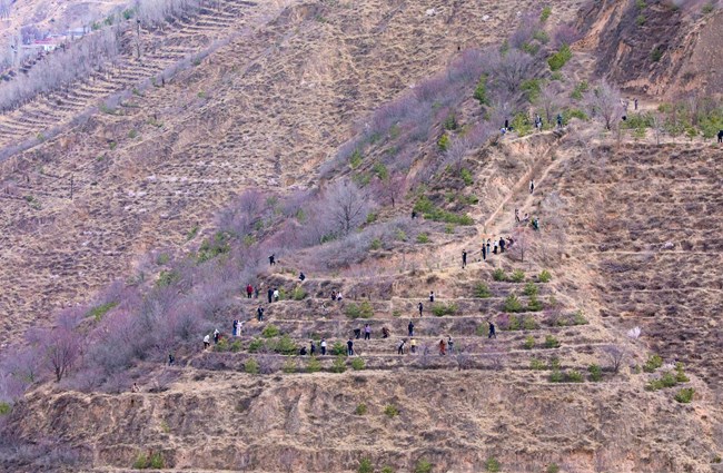 春风添新绿 植树正当时——环县开展2026年春季义务植树活动