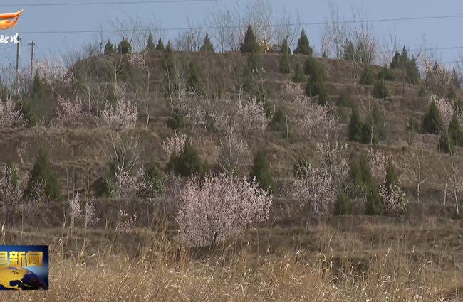 曹育铮调研督导全县森林草原防火工作