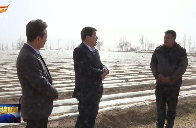 曹育铮在耿湾乡、秦团庄乡调研乡镇重点工作