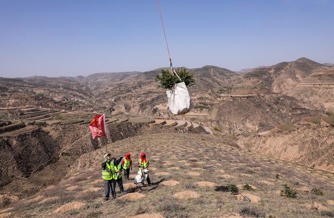  科技种绿 从严护绿　环县绘就“绿进沙退”新画卷 