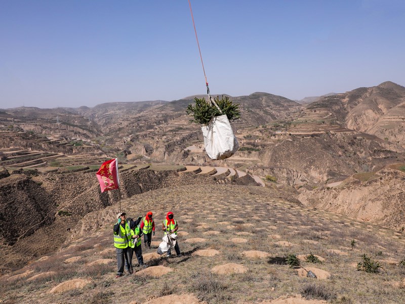  科技种绿 从严护绿　环县绘就“绿进沙退”新画卷 