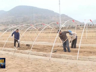 木钵镇周湾村： 抢抓农时备春耕 铆足干劲忙生产