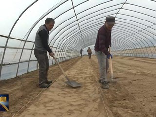 环县：春耕生产按下“快进键”