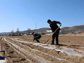【基层风采】蒋鹏：扎根乡土践初心 实干担当领民富