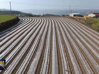 车道镇：抢抓农时忙春耕 多管齐下保丰收