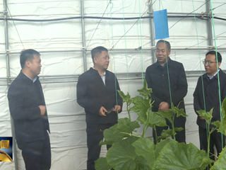 王之臣深入环县调研重点项目建设和基层人大工作