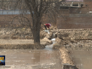 木钵镇：东丰灌区开闸放水 润泽田间助春耕
