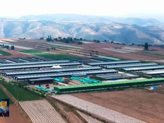 2025年环县招商引资工作成效明显