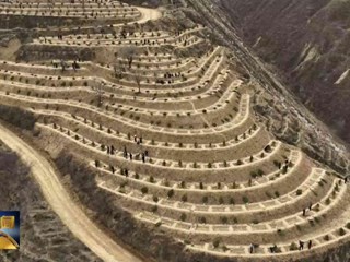 《环县新闻》2026年03月27日 