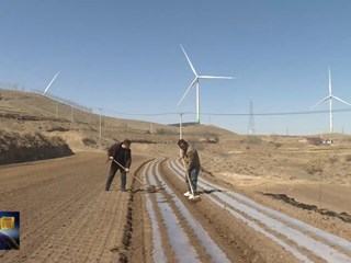 南湫乡：春潮涌动农耕忙