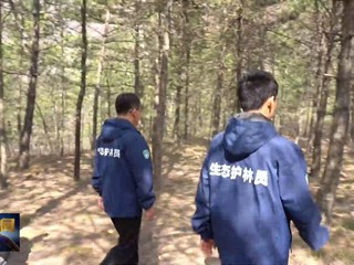 《环县新闻》2026年04月01日 