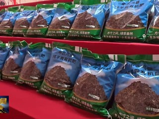 洪德镇：外引“金凤”兴产业 内育“活水”富乡亲