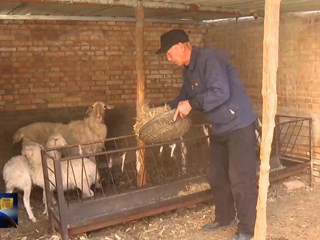 梁万雄：拾金不昧暖人心