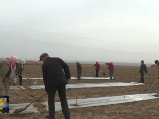 《环县新闻》2026年04月07日 