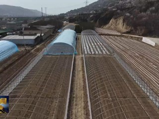 曲子镇：全力推进春耕生产 夯实乡村振兴根基