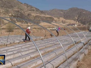 樊家川镇：节水灌溉探索旱作农业发展新路径