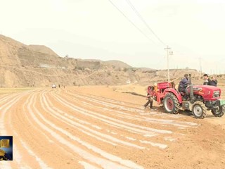 环县虎洞镇：春耕“三曲”同奏 田间“花样”翻新