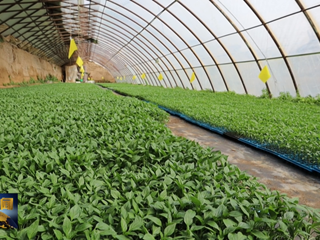 《环县新闻》2026年04月15日 