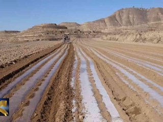 耿湾乡：三维保障护航葵花产业“向阳而生”